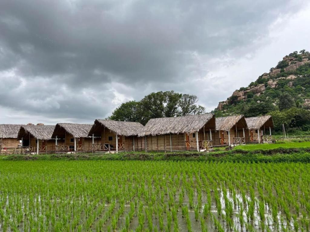 Homestay Serene Boulder *
