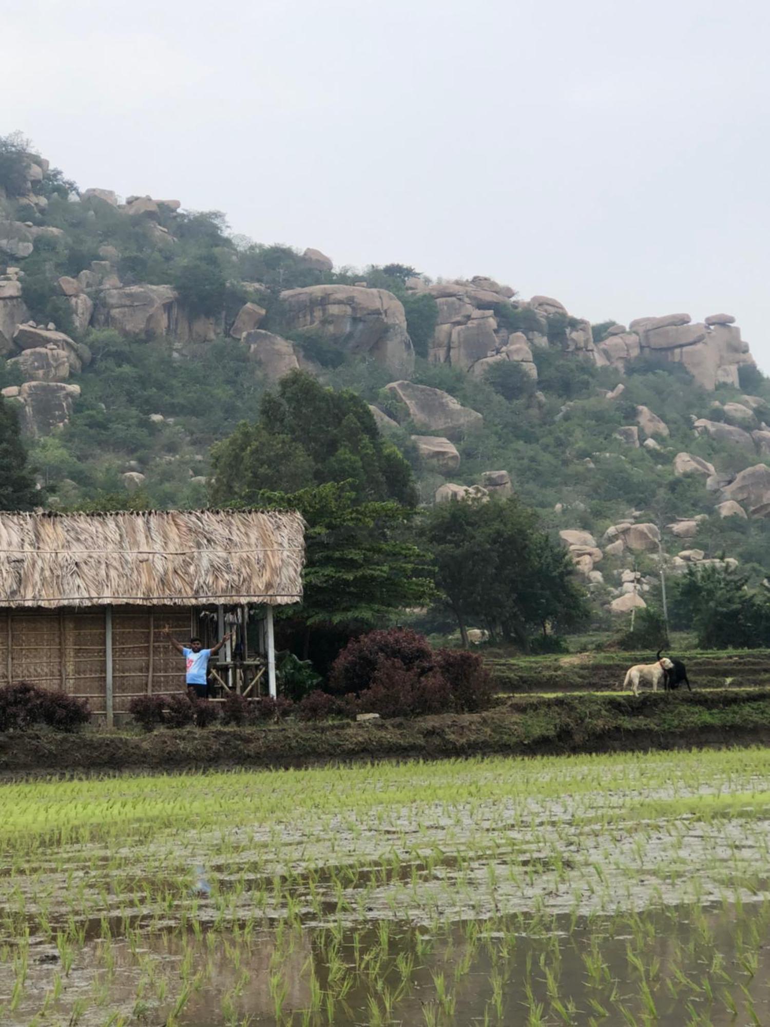 Serene Boulder Homestay