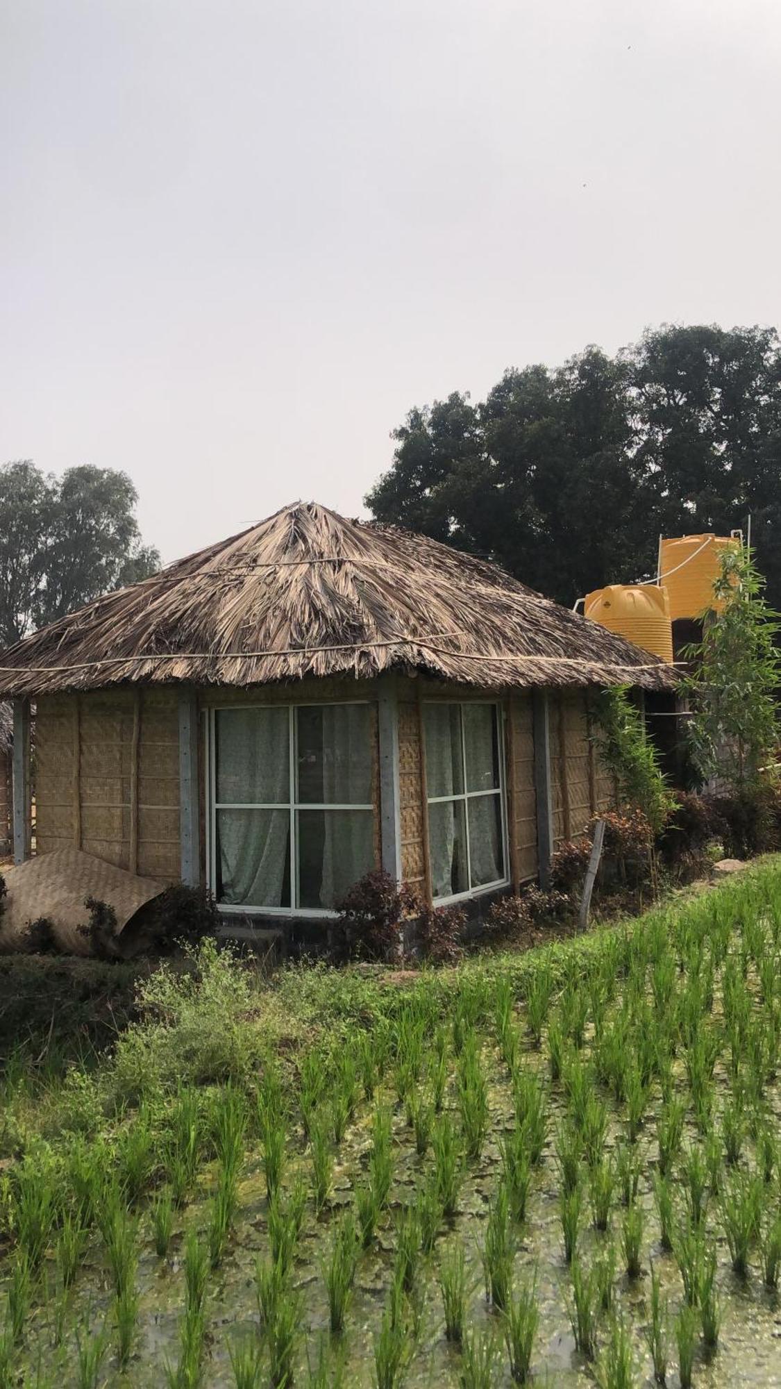 Serene Boulder Homestay Hampi
