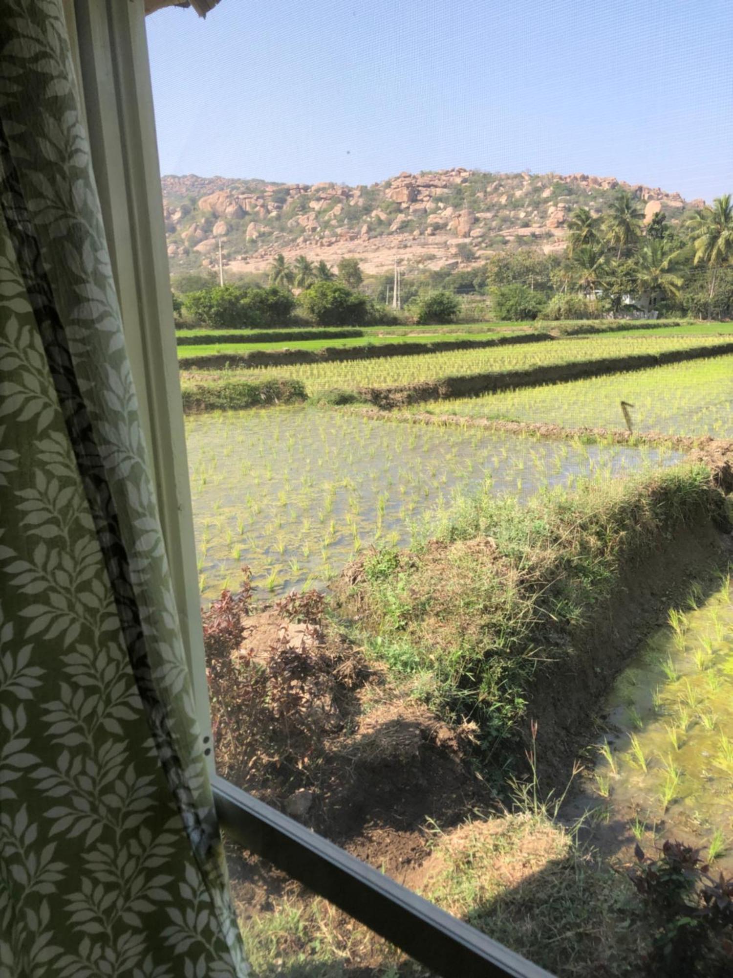Serene Boulder Homestay Hampi